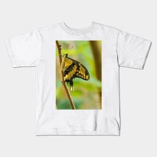 12418 butterfly Kids T-Shirt